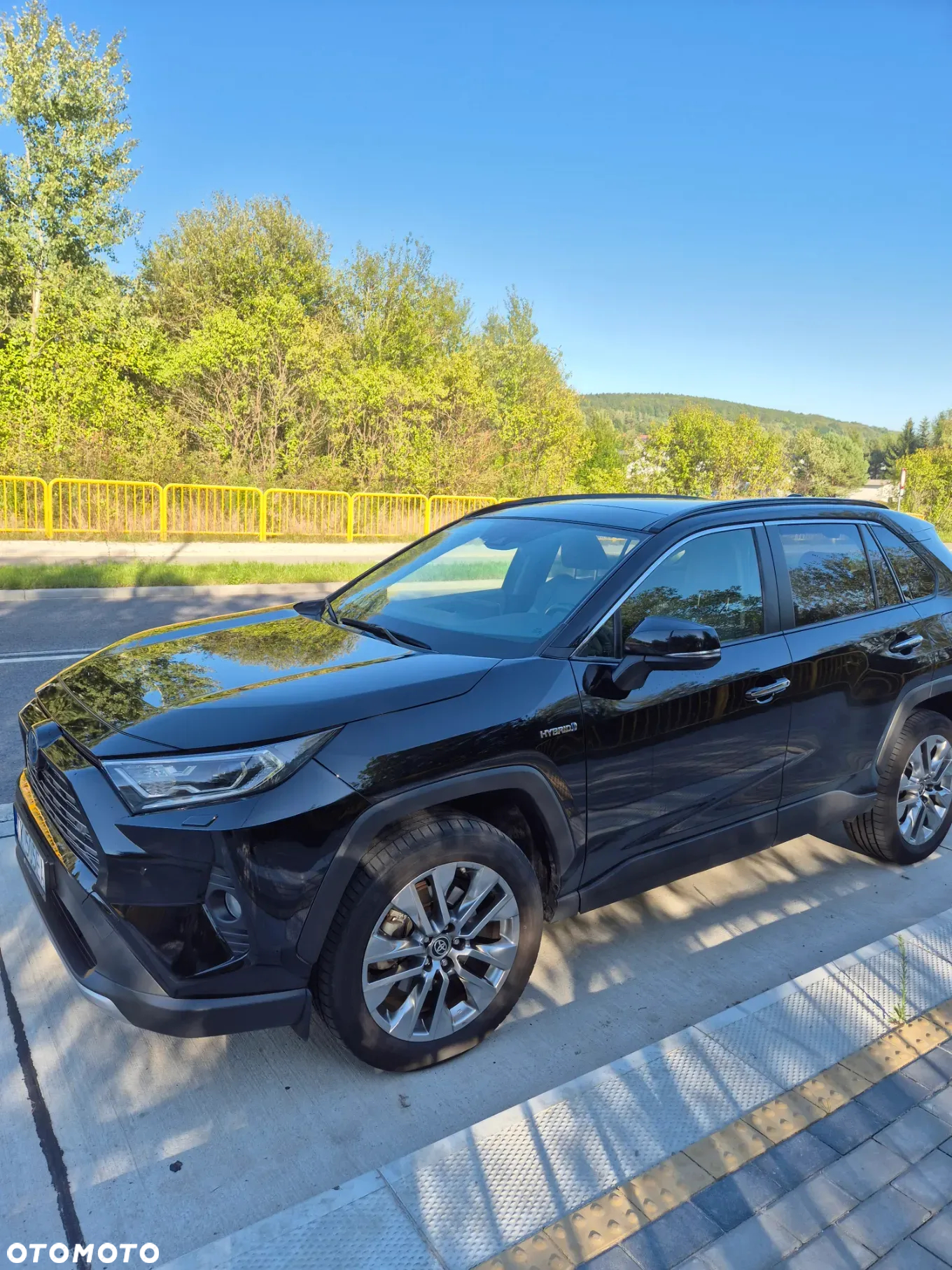 Toyota RAV4 2.5 Hybrid Executive 4x4 - 13
