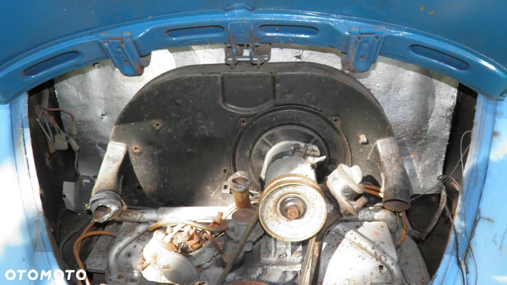 Volkswagen Beetle - 15