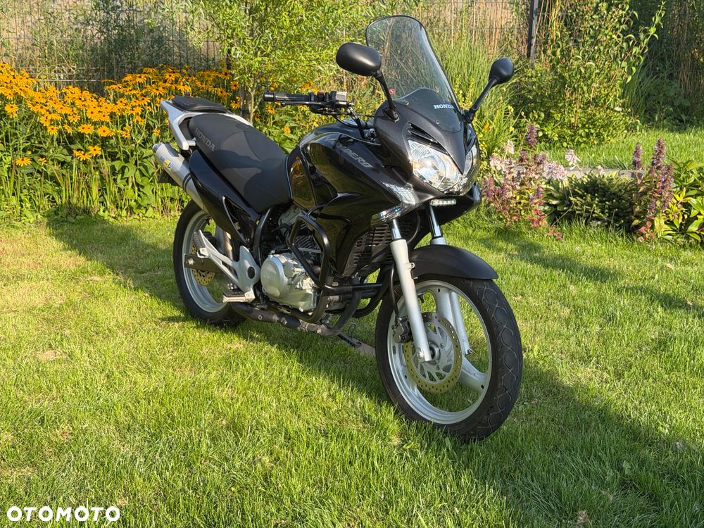 Honda Varadero - 12