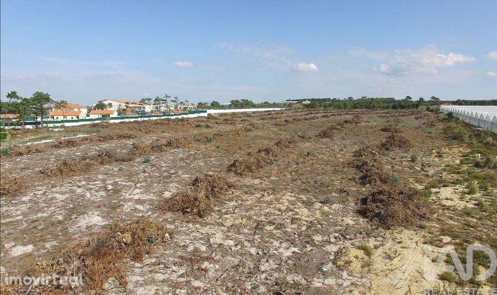 Terreno em A dos Cunhados e Maceira de 10000,00 m2 - Grande imagem: 5/15