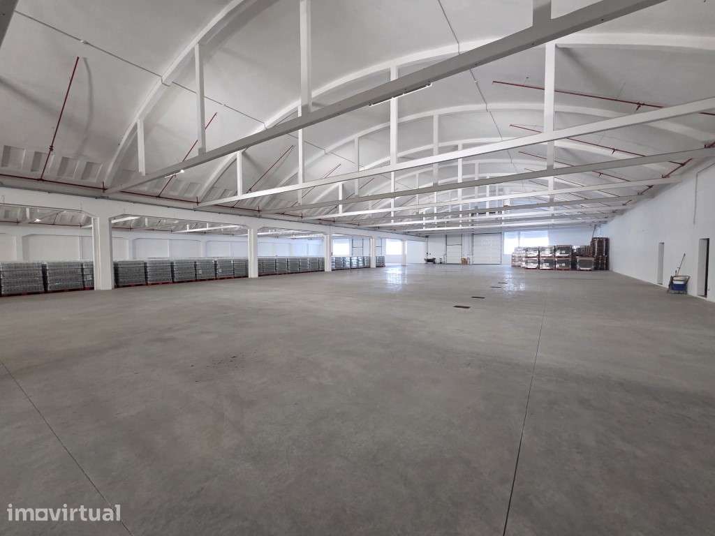 Armazém logístico recém-renovado com 5.000 m² para arrendamento - S... - Grande imagem: 2/13