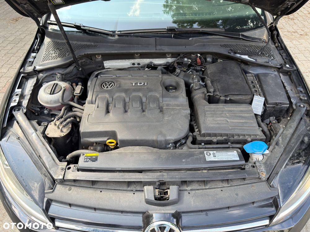 Volkswagen Golf - 18