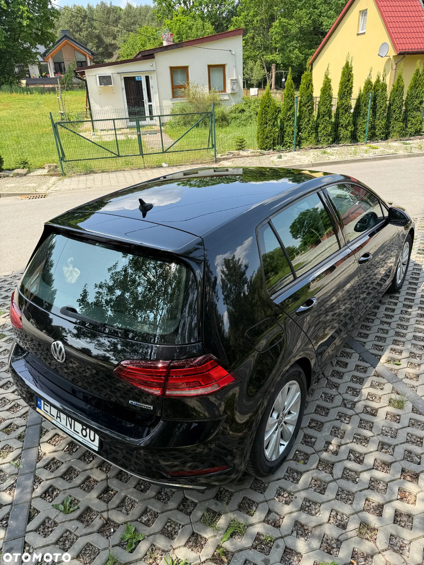 Volkswagen Golf - 29