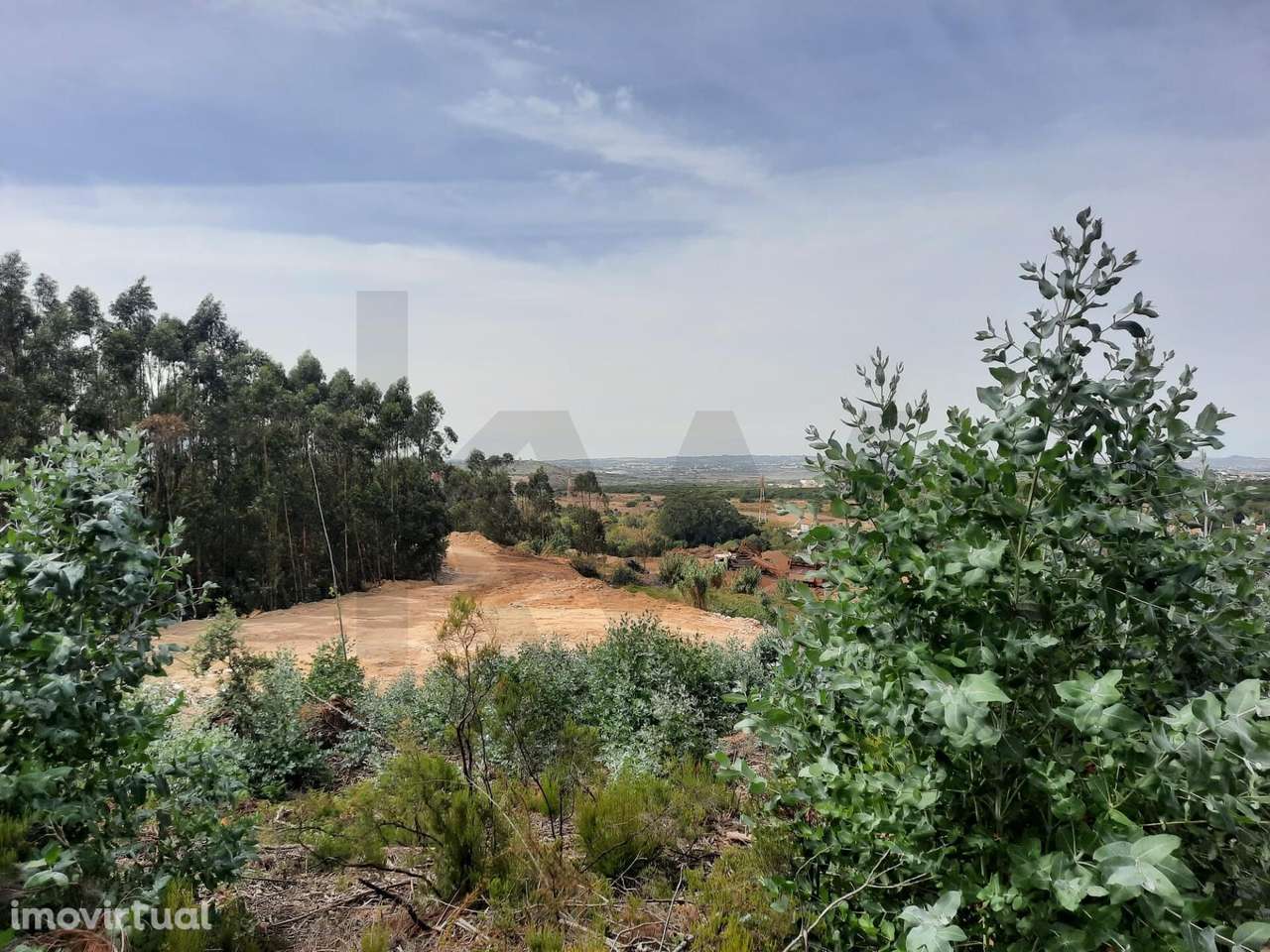 Terreno Rústico  VALE DE LOBOS - SINTRA - Grande imagem: 2/14