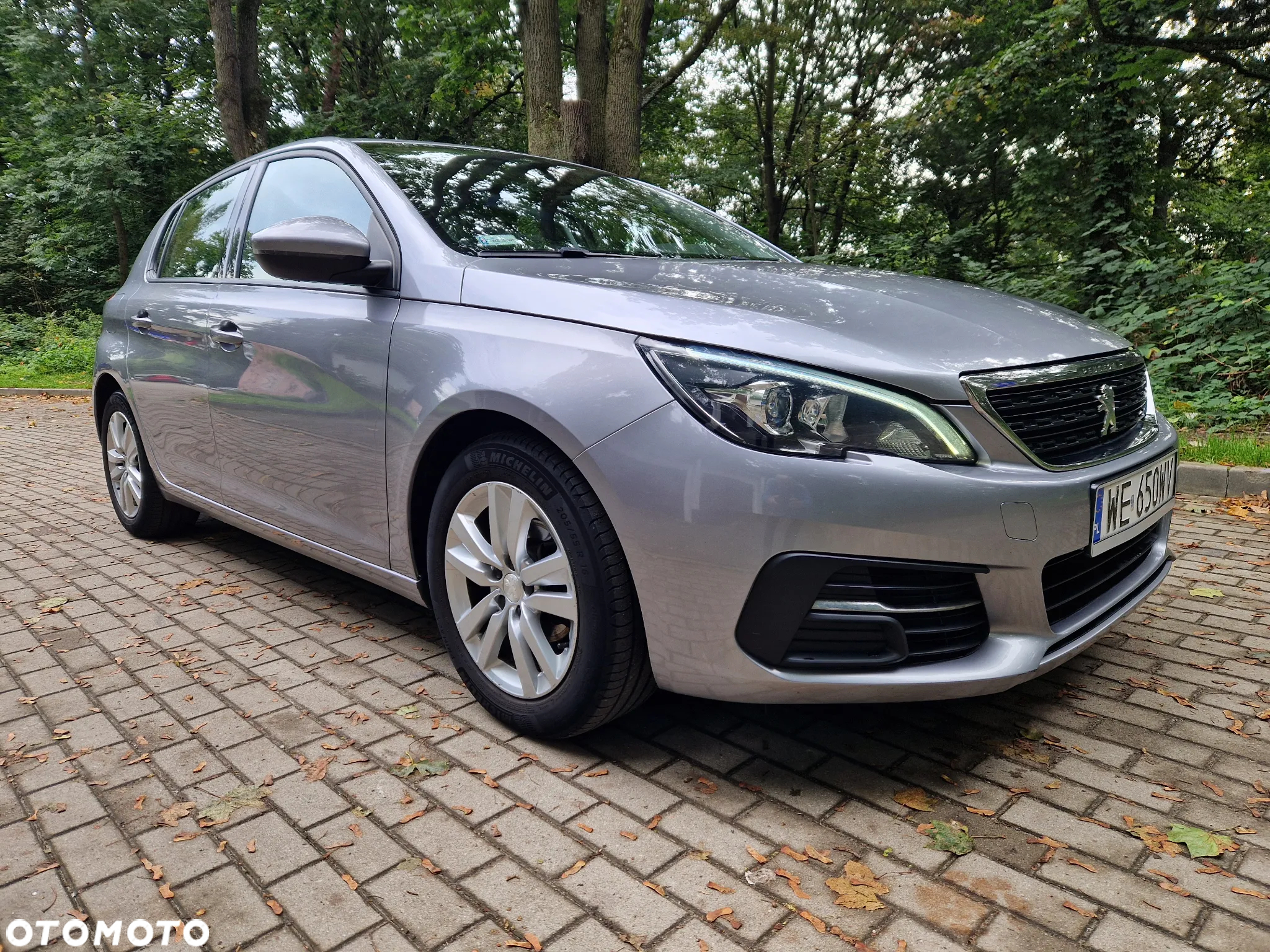 Peugeot 308 1.5 BlueHDi Active S&S - 2