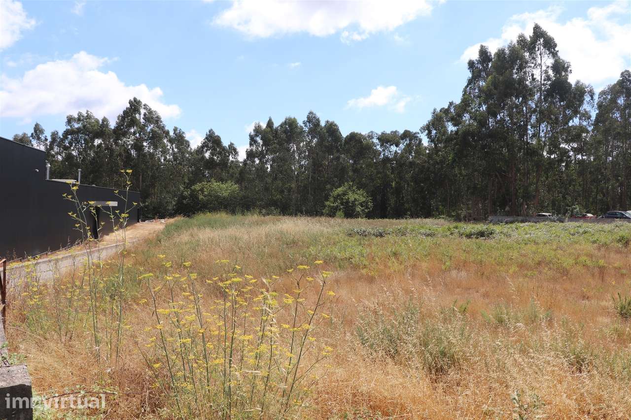 Lote de Terreno  Venda em Lustosa e Barrosas (Santo Estêvão),Lousada - Grande imagem: 4/9
