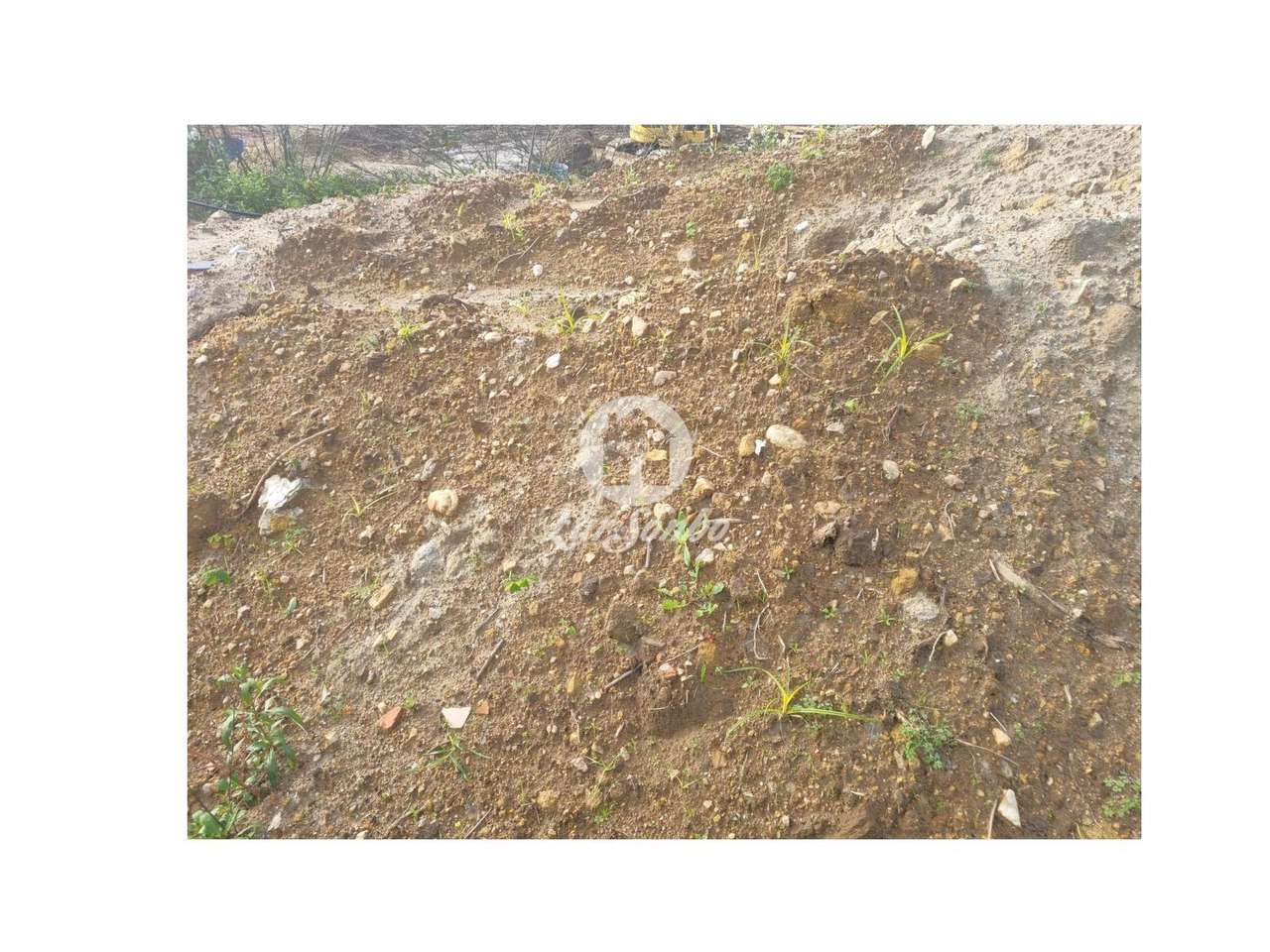 Terreno para construção com 743 m² em Barcelos - Grande imagem: 4/5