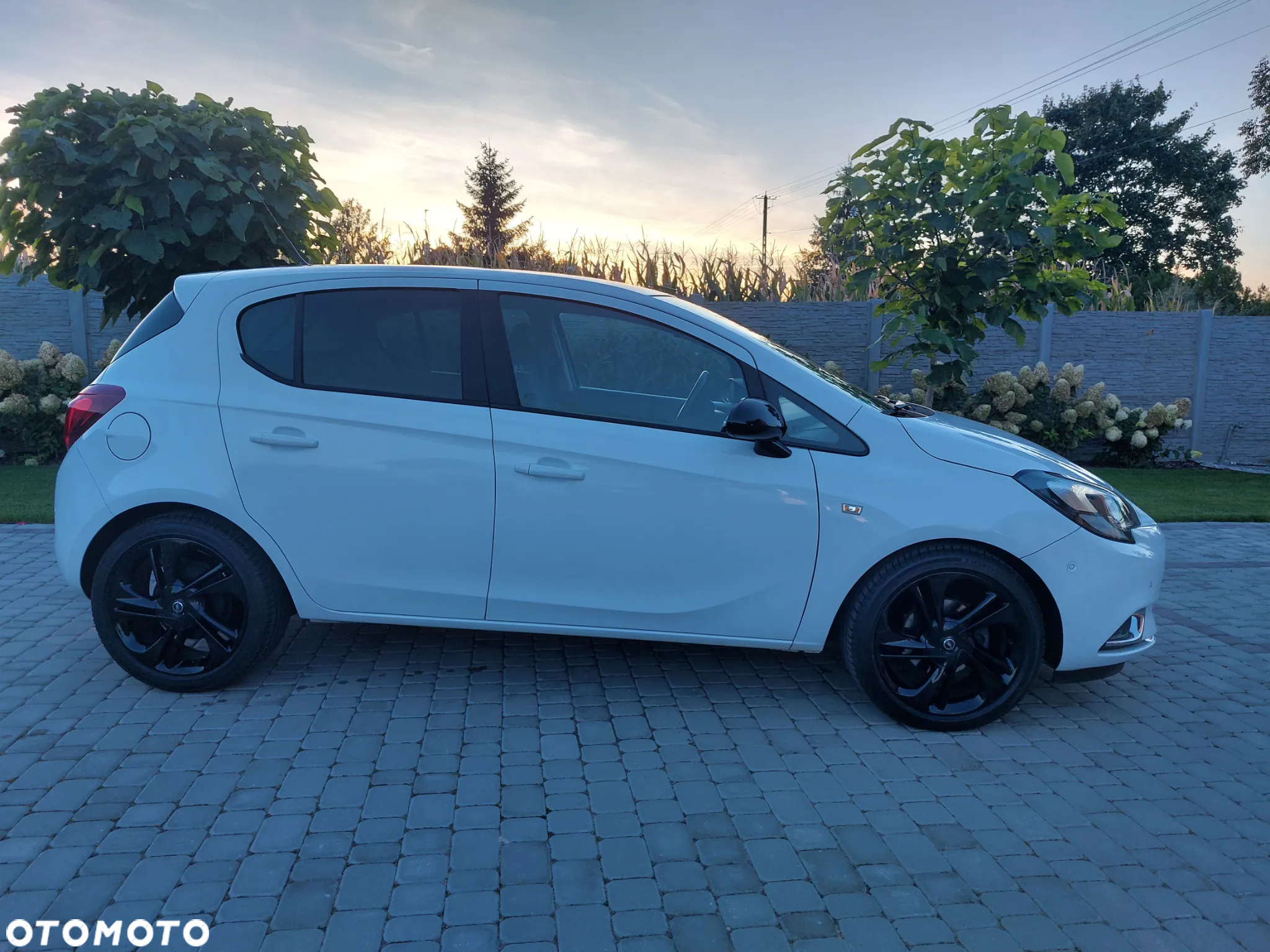 Opel Corsa 1.4 Color Edition S&S - 9