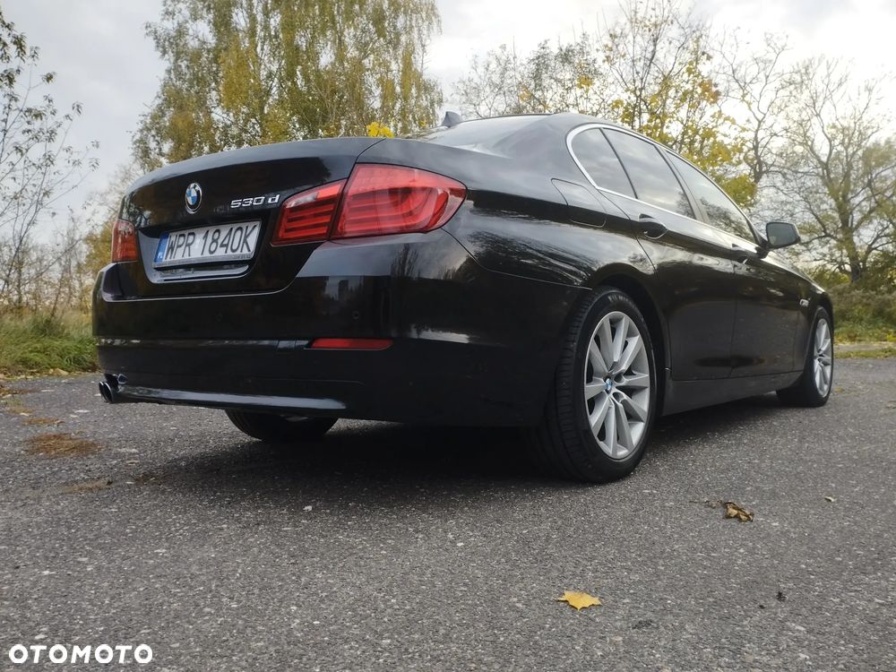 BMW Seria 5 - 24
