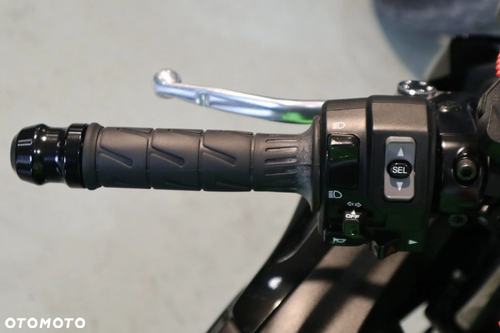 Kawasaki Ninja - 9