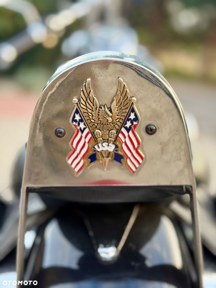 Honda Shadow - 9