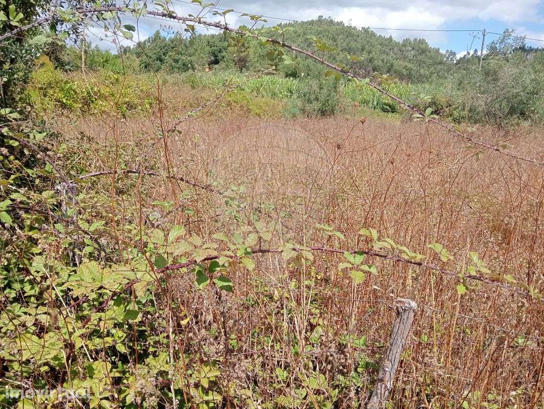 Terreno  para venda - Grande imagem: 2/3