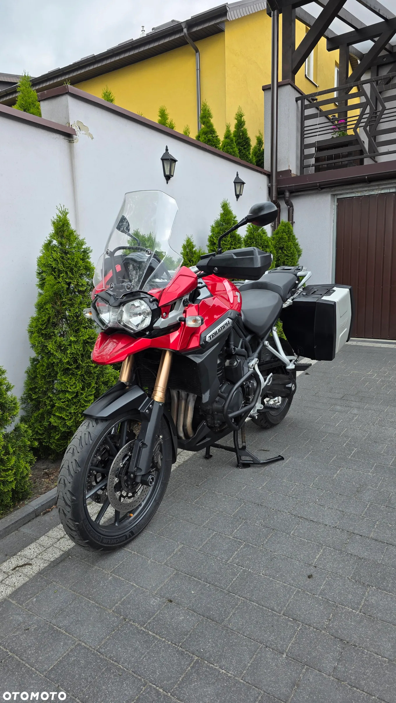 Triumph Tiger - 4