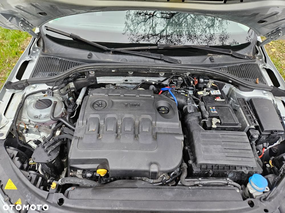 Skoda Octavia 1.6 TDI (Green tec) Joy - 16