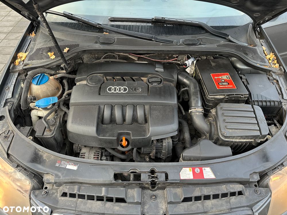 Audi A3 3-drzwiowe 1.6 Ambiente Tiptr - 12