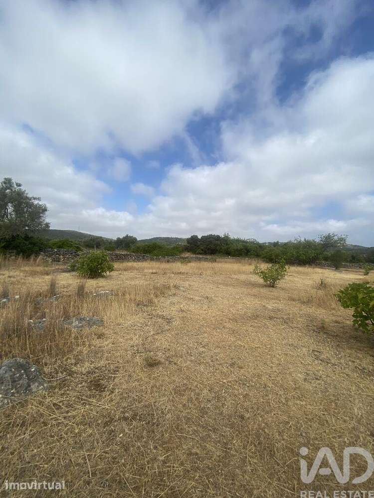 Terreno em Santa Catarina da Fonte do Bispo de 10000,00 m2 - Grande imagem: 3/26