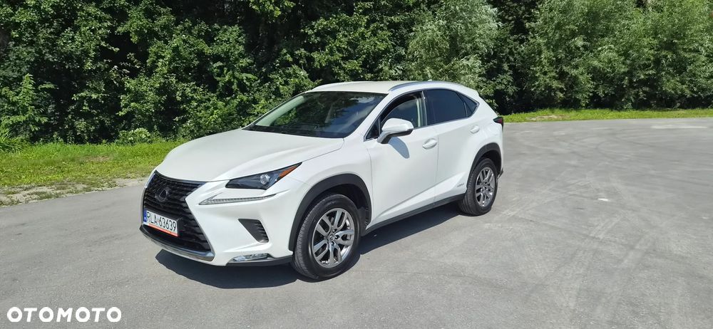 Lexus NX 300h Business Edition AWD - 1