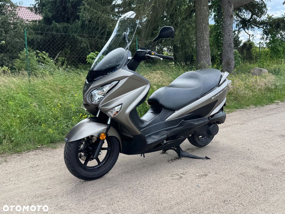 Suzuki Burgman - 17
