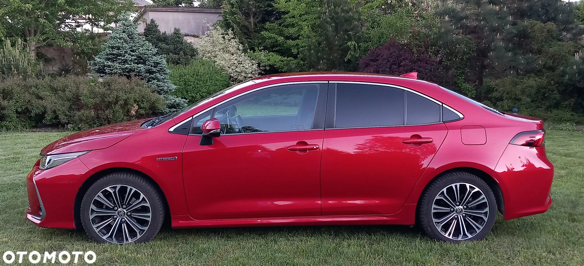 Toyota Corolla 1.8 Hybrid Comfort - 5