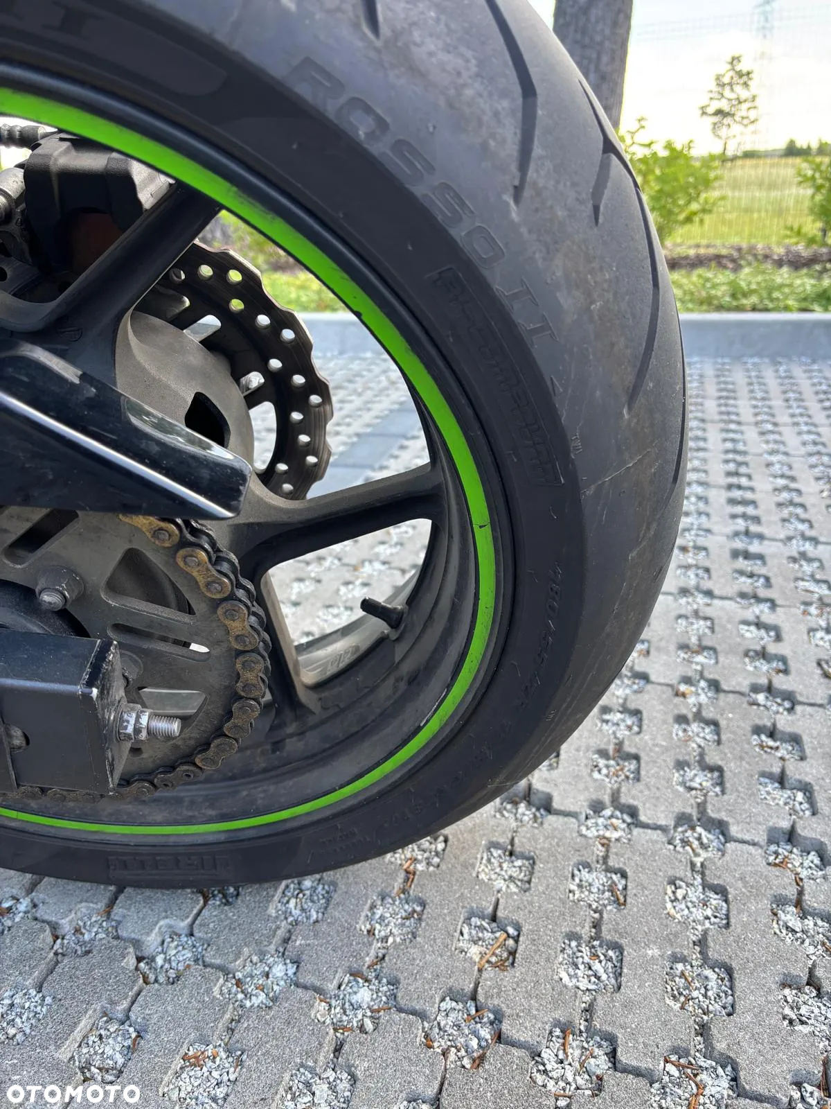 Kawasaki Z - 6