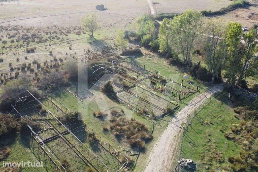 Herdade com cerca de 50ha em zona de Regadio do Ladoeiro Idanha a Nova - Grande imagem: 2/60