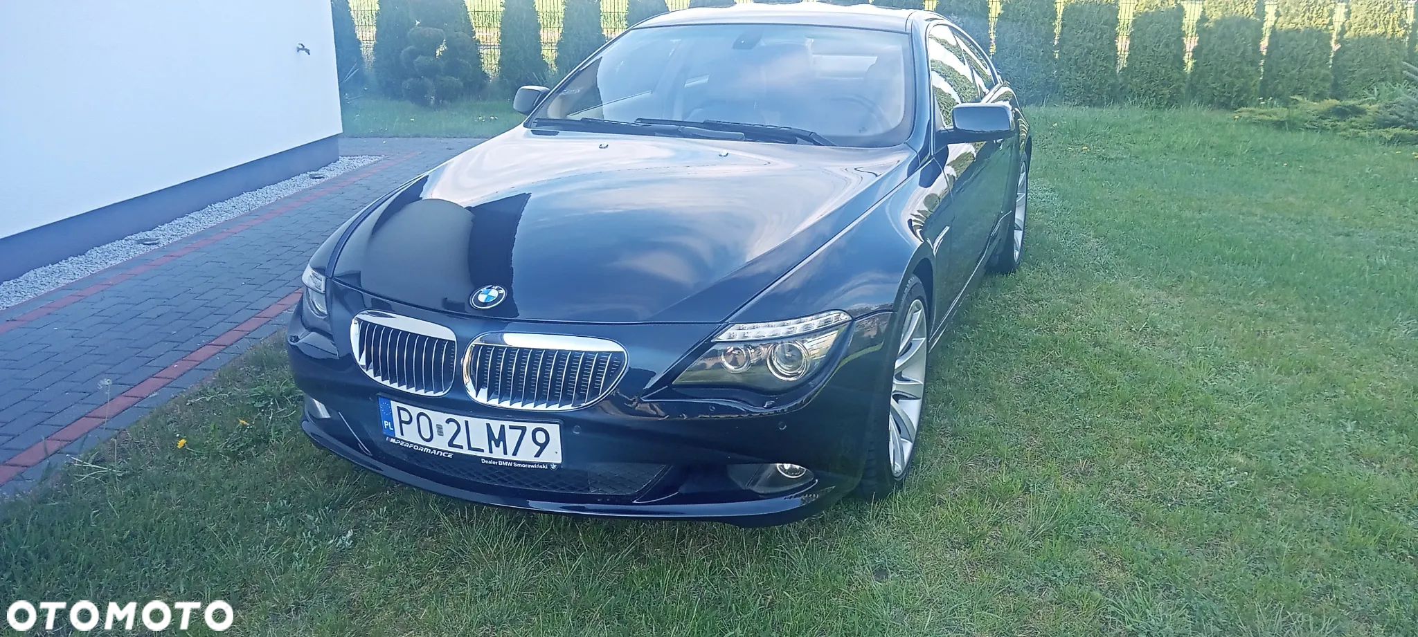 BMW Seria 6 - 1