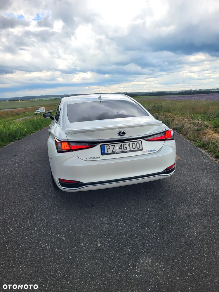 Lexus ES 300h Omotenashi - 7