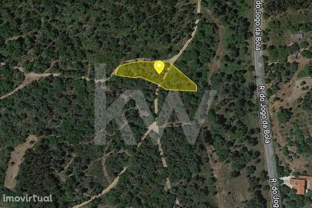 Terreno Rústico | 1.480 m2 | Sardoal, Valhascos - Grande imagem: 4/5