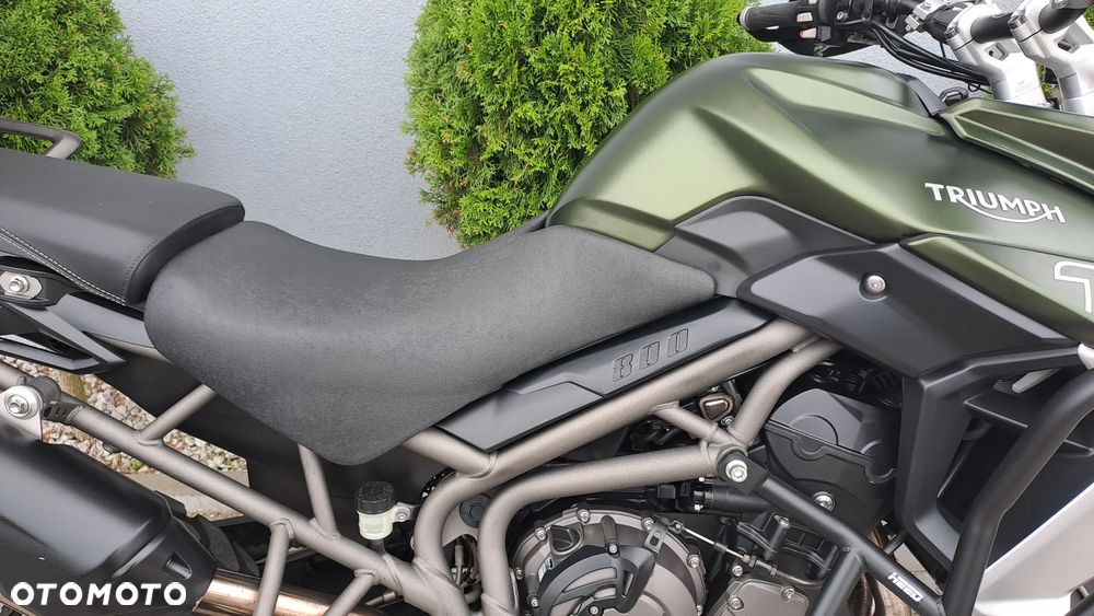 Triumph Tiger - 22