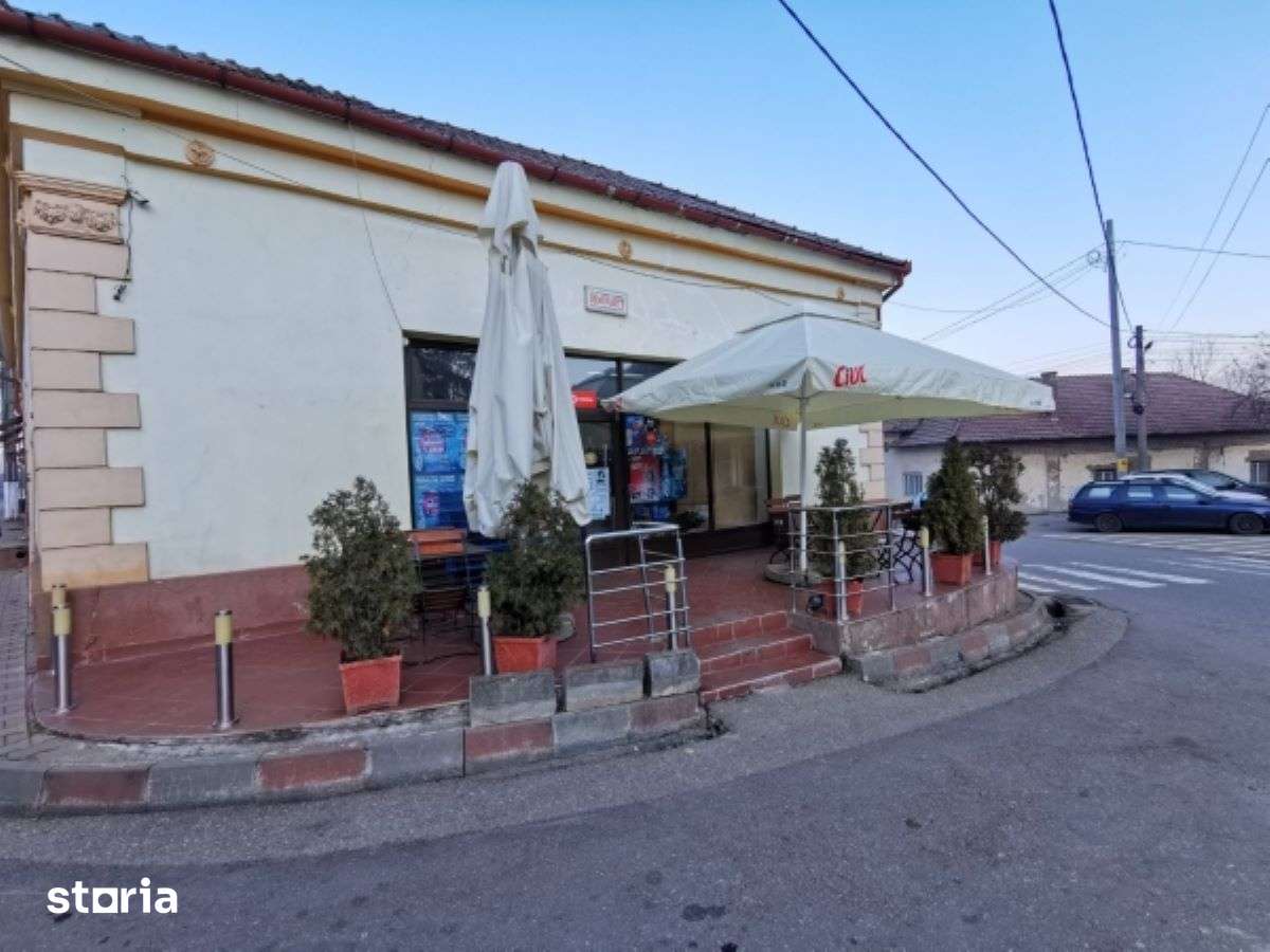 De vanzare/inchiriere casa+spatiu comercial in comuna Baita - Imagine principală: 2/7