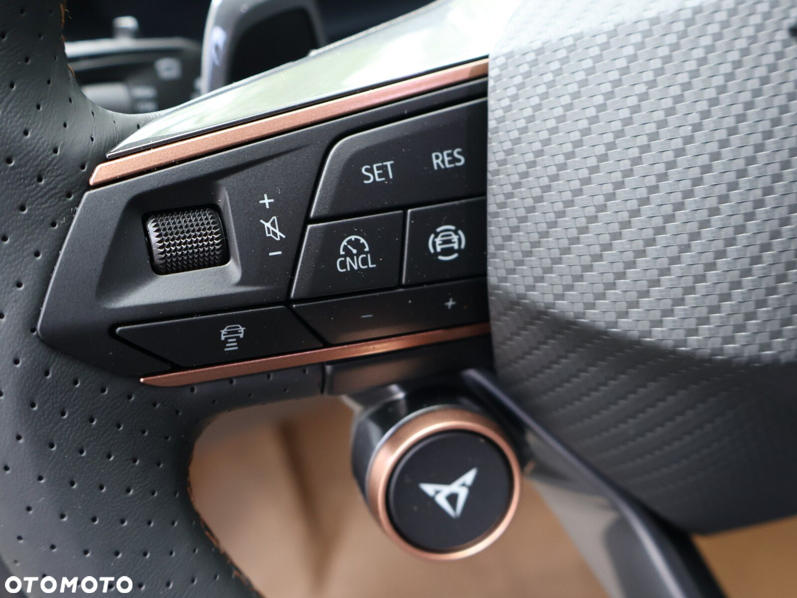 Cupra Terramar 2.0 TSI 4Drive VZ DSG - 21