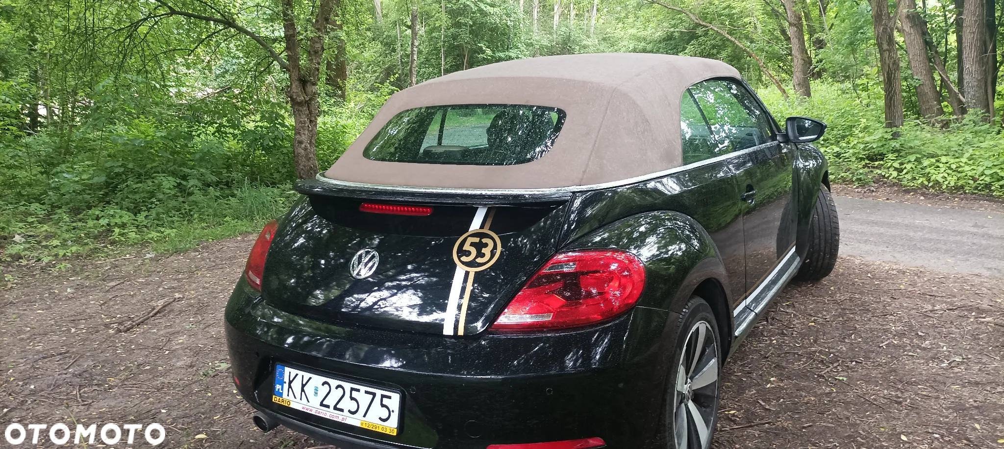 Volkswagen Beetle The Cabriolet 1.2 TSI (BlueMotion Tech) - 36