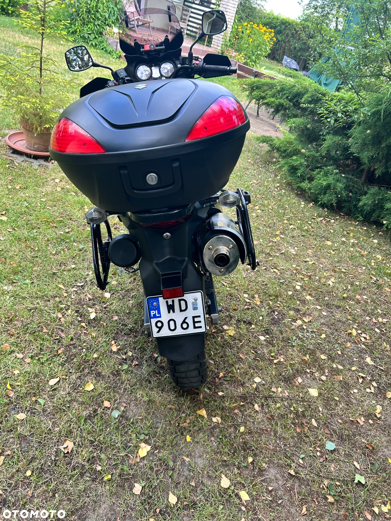 Suzuki DL - 8