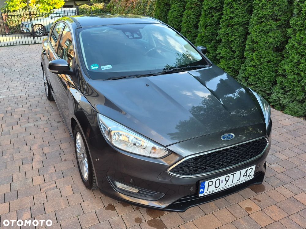 Ford Focus - 18