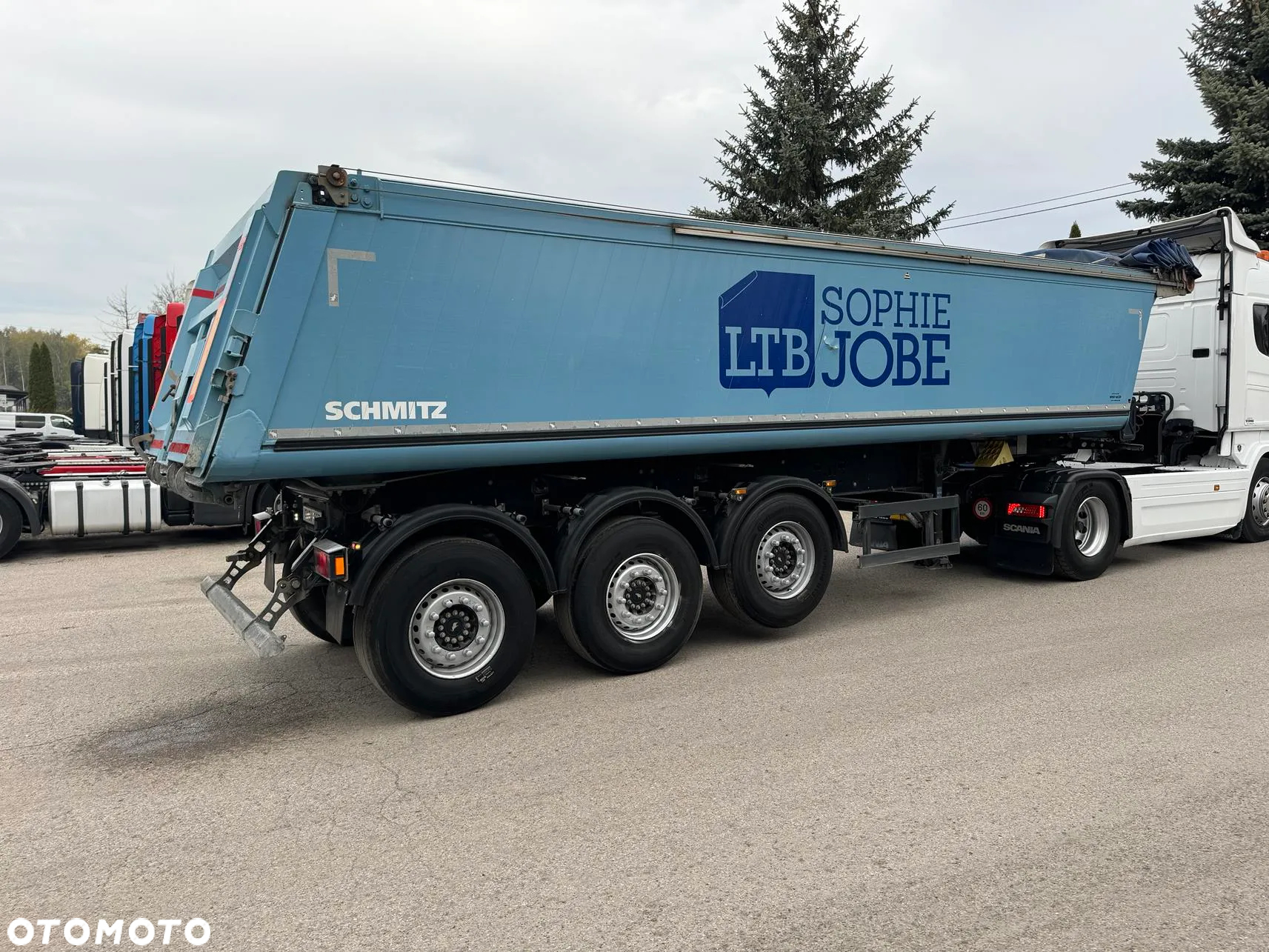 Schmitz Cargobull Wywrotka - 6