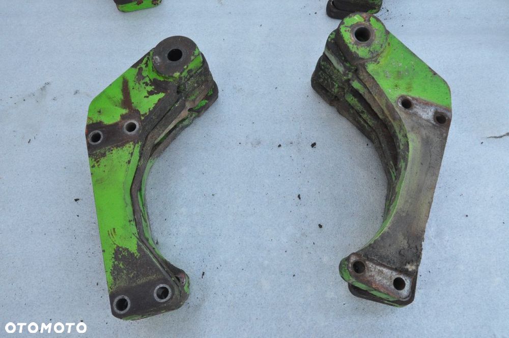 WĄS ZWROTNICY MERLO