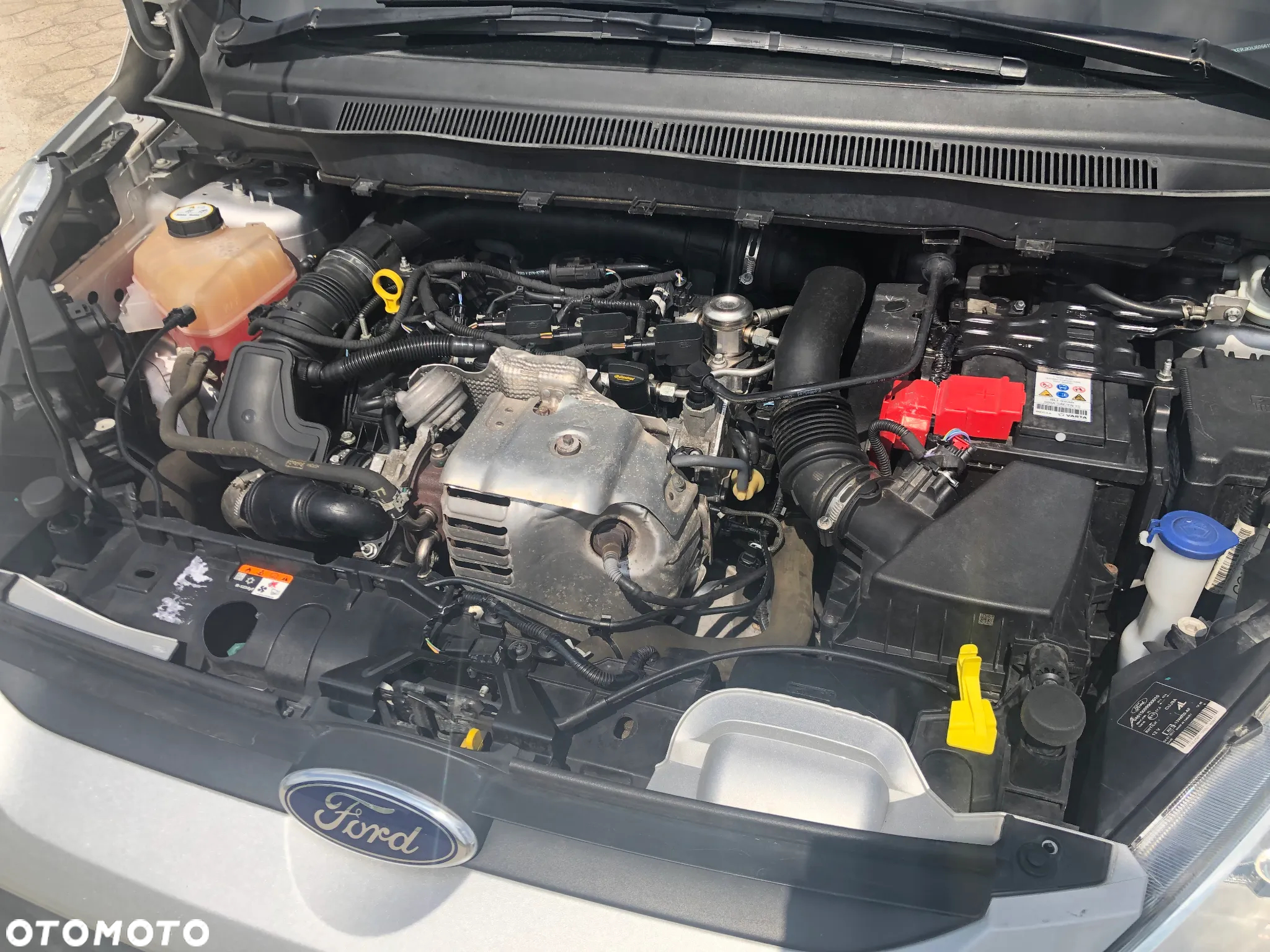 Ford B-MAX 1.0 EcoBoost Trend EU6 - 24