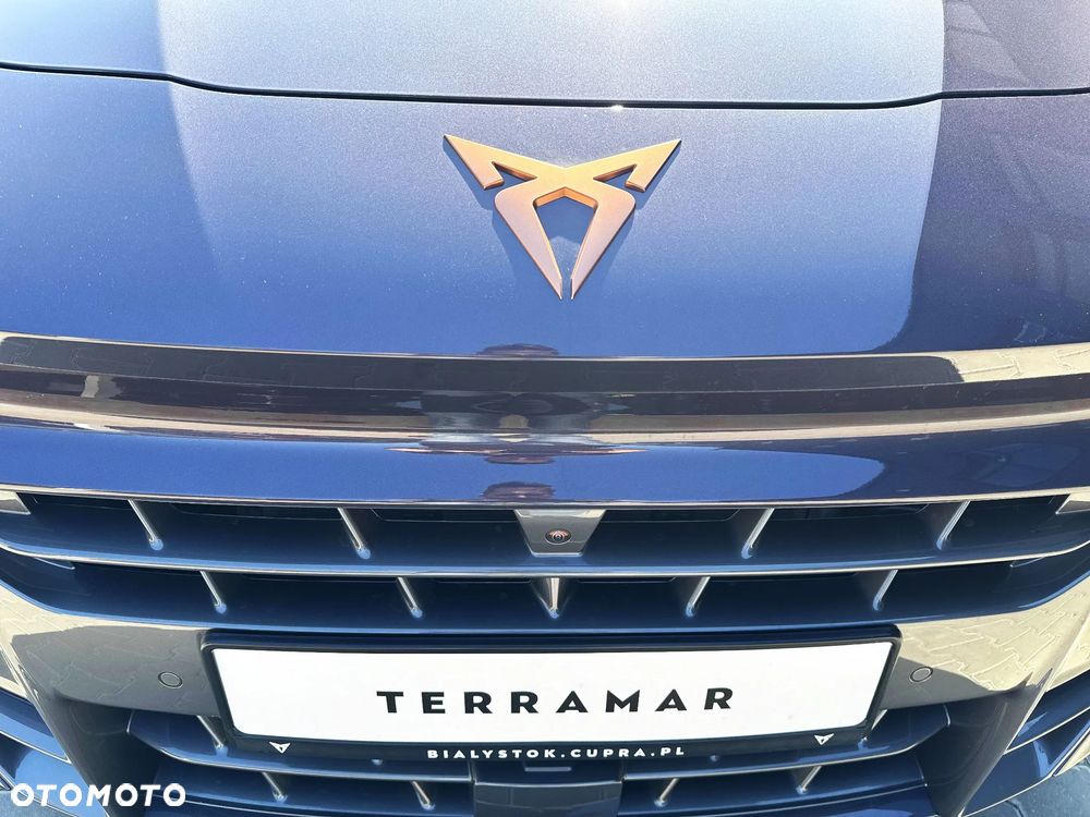 Cupra Terramar 2.0 TSI 4Drive Advantage Edition DCC DSG - 19