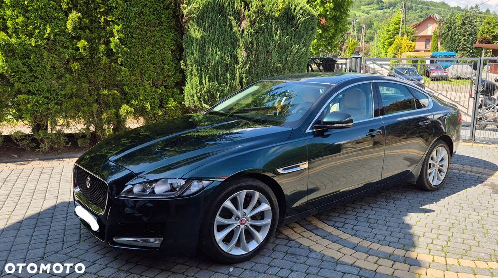 Jaguar XF 30d Prestige - 15