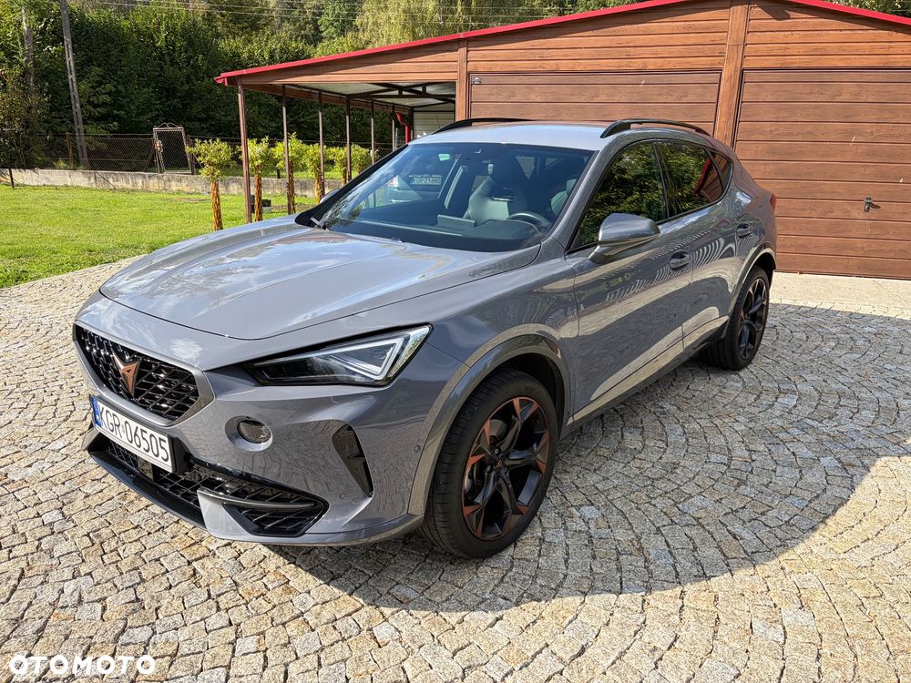 Cupra Formentor 2.0 TSI 4Drive DSG - 6