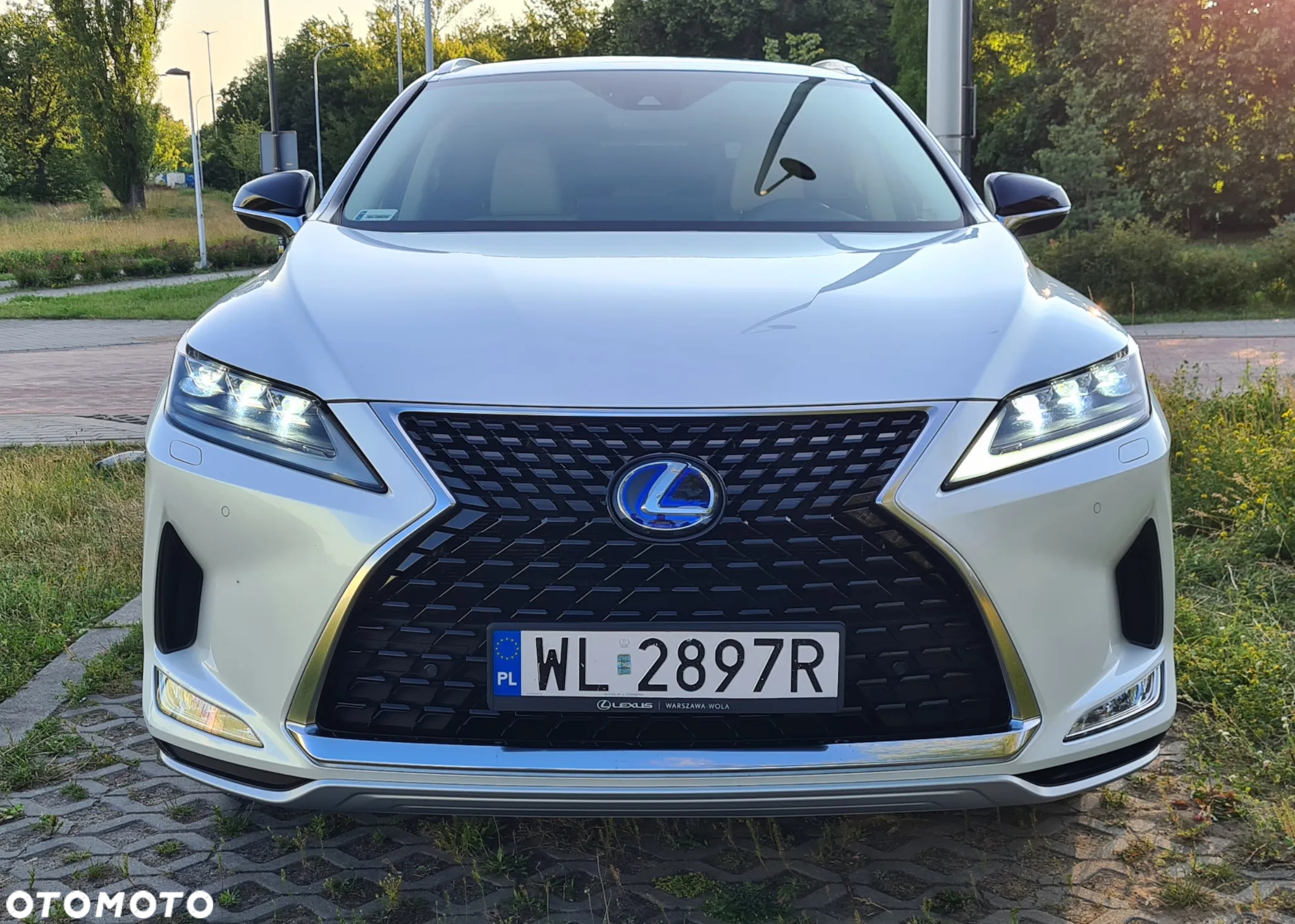 Lexus RX 450h F-Impression - 5