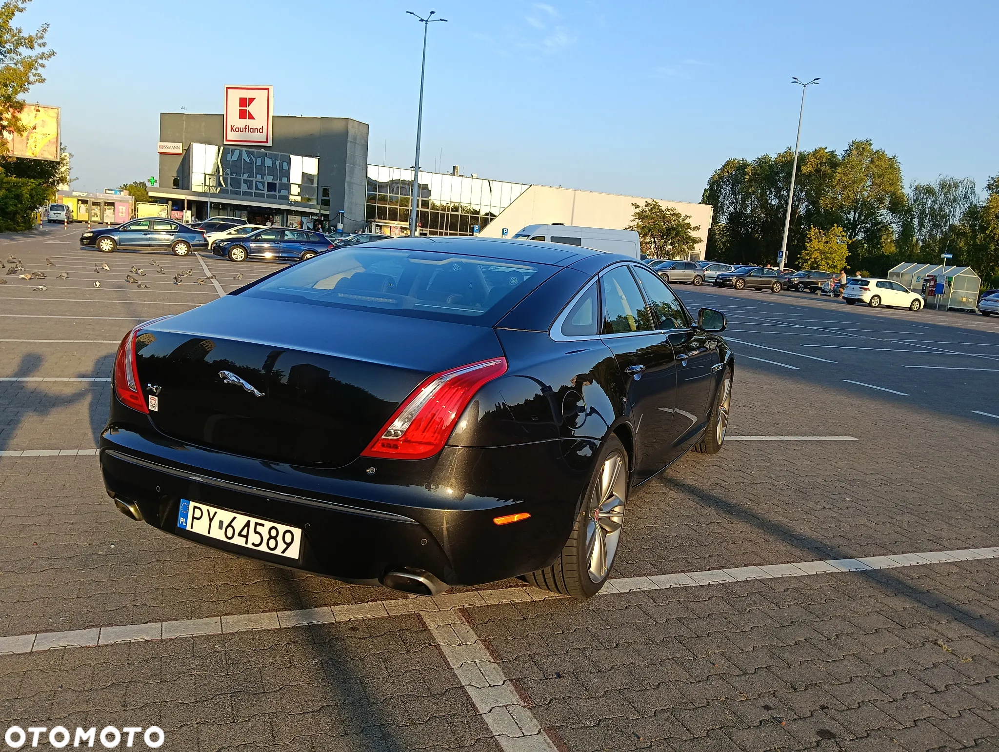 Jaguar XJ 5.0 S/C LWB Supersport - 5