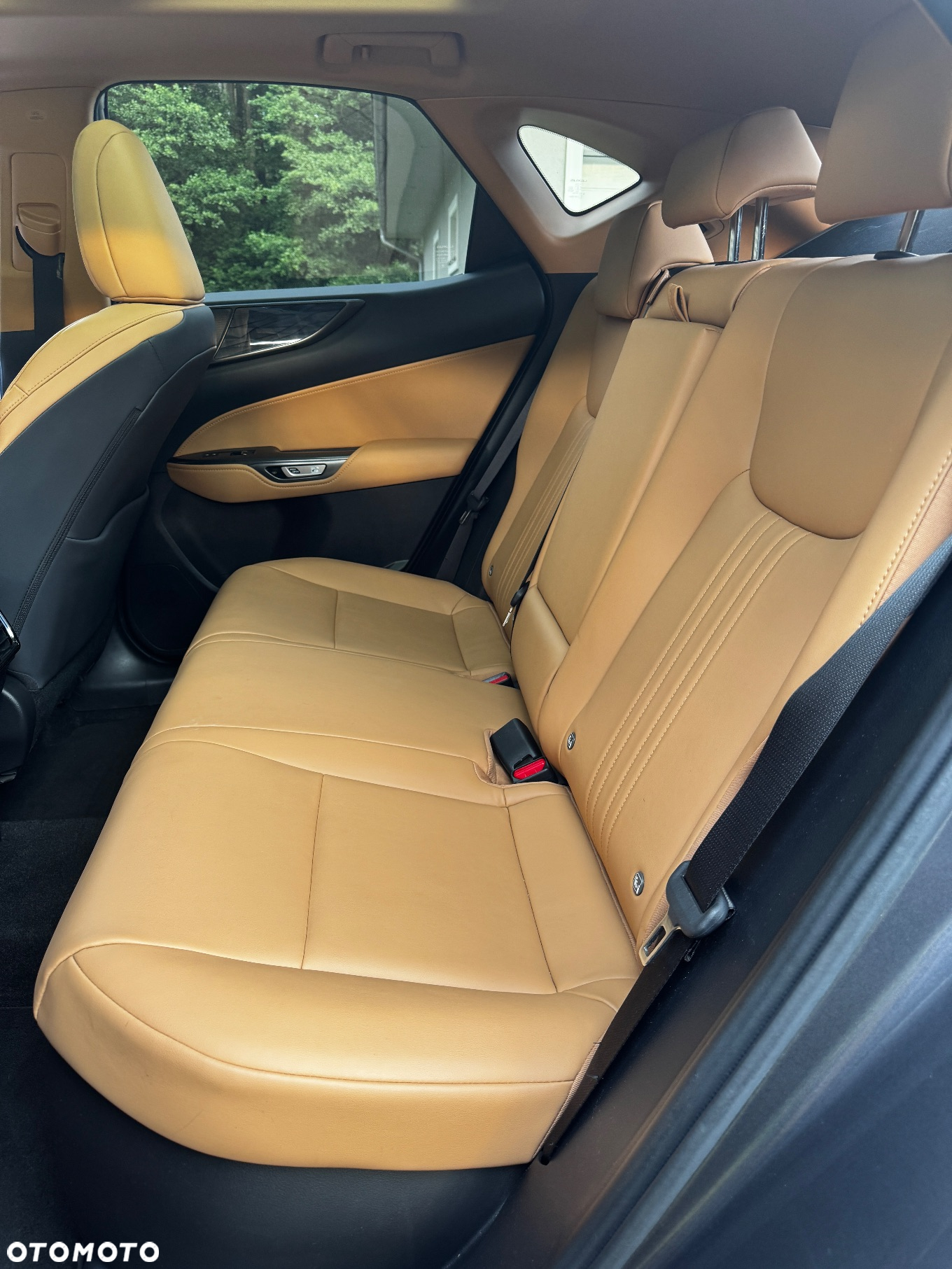 Lexus NX 300 GPF Prestige AWD - 11