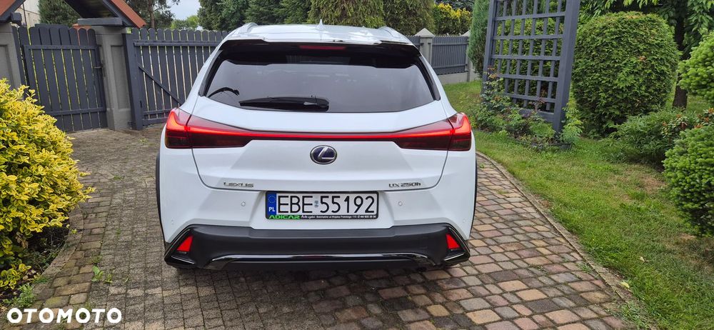 Lexus UX 250h GPF F Sport AWD - 5