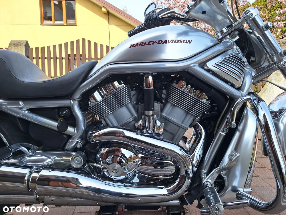 Harley-Davidson V-Rod Street Rod - 8