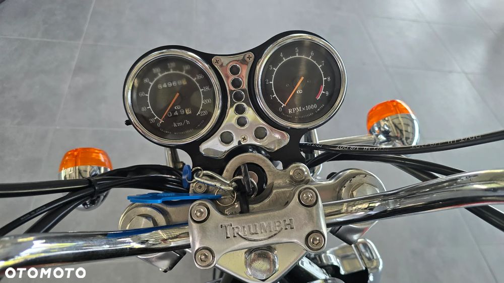 Triumph Thunderbird - 16