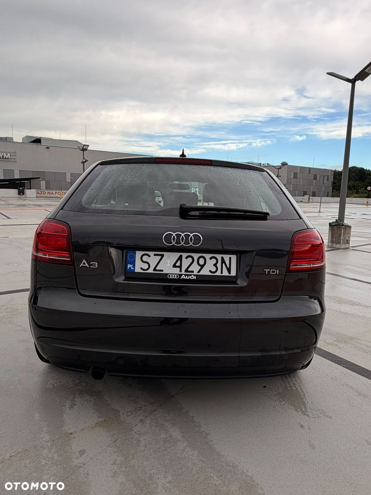 Audi A3 3-drzwiowe 1.6 TDI DPF Ambiente - 4