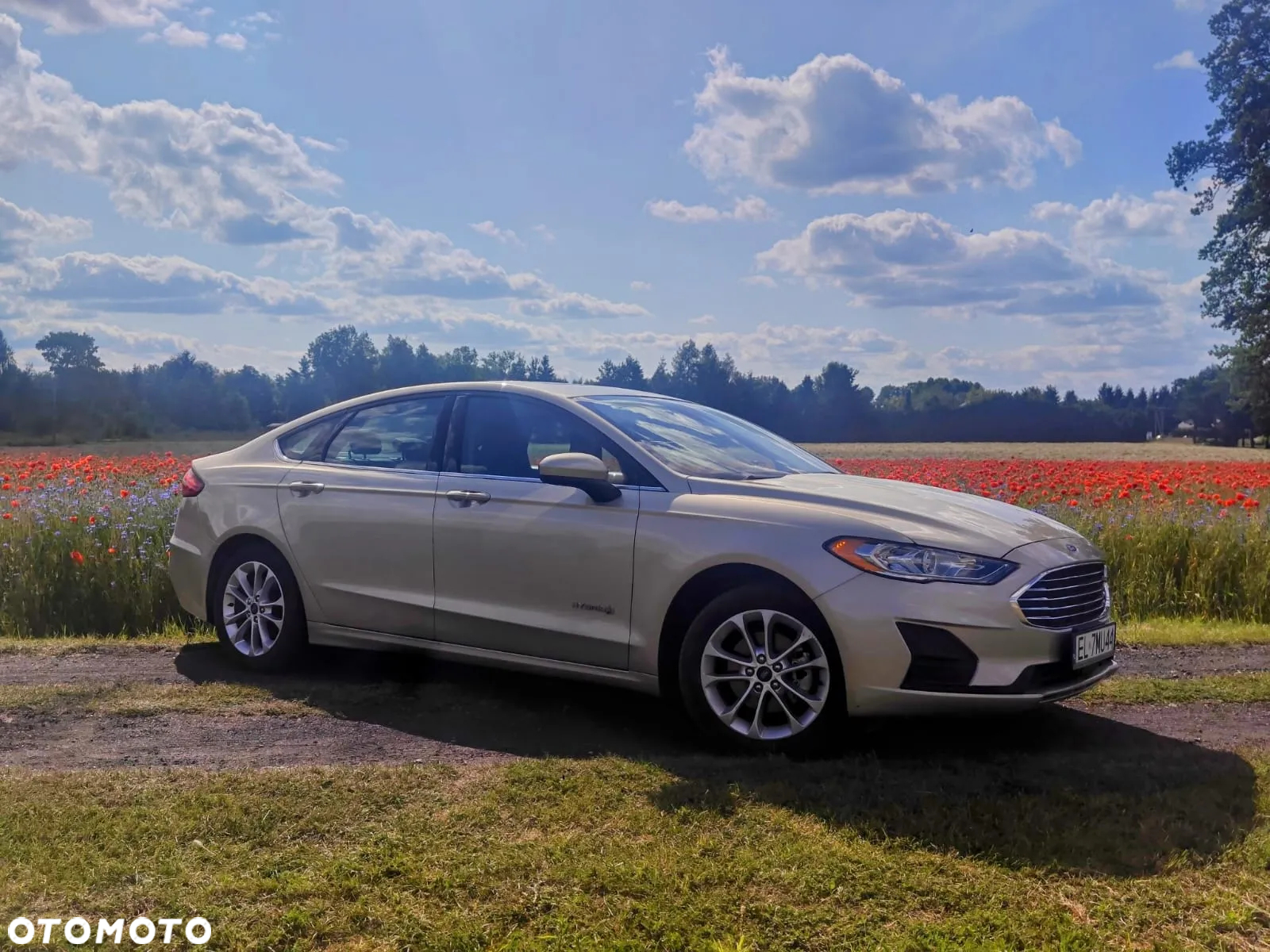 Ford Mondeo - 13