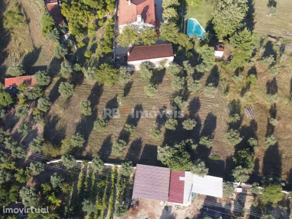 Dois Terrenos Urbanizáveis com 2480 m2 - Pesqueira, Tomar - Grande imagem: 4/45