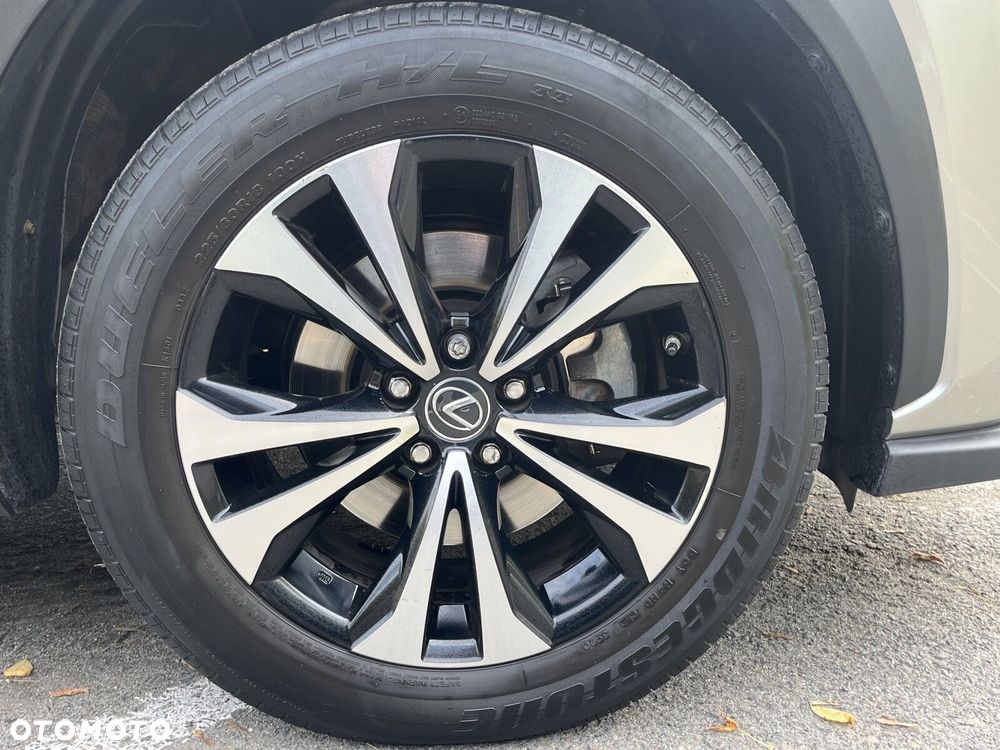 Lexus NX - 10